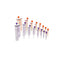 Avanos Medical NeoMed Enteral / Oral Syringe Enfit Tip Without Safety, 12mL