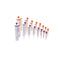 Avanos Medical NeoMed Enteral / Oral Syringe Enfit Tip Without Safety, 60mL